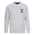 Louis Vuitton Trendy Sweatshirt