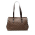 Chelsea Handbag Damier