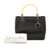 Lady Dior Bag Embellished Leather Mini