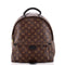 Palm Springs Backpack Monogram Canvas MM