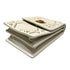 Diorama Vertical Clutch on Chain Studded Leather