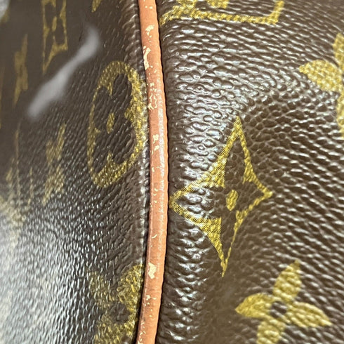 Papillon Handbag Monogram Canvas 26