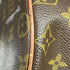 Papillon Handbag Monogram Canvas 26