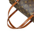 Papillon Handbag Monogram Canvas 30