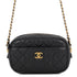 Camera Case Bag Quilted Lambskin Mini
