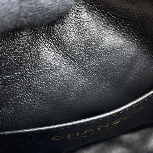Camera Case Bag Quilted Lambskin Mini
