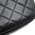 Camera Case Bag Quilted Lambskin Mini
