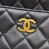 Camera Case Bag Quilted Lambskin Mini