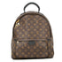 Palm Springs Backpack Monogram Canvas MM