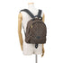 Palm Springs Backpack Monogram Canvas MM