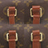 Papillon Handbag Monogram Canvas 26