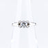 Band Ring Platinum with Diamond