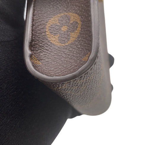 Felicie Pochette Monogram Canvas