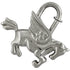 Charm Silver Metal