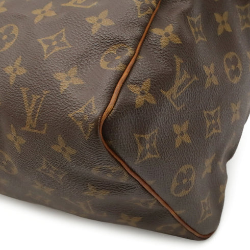 Speedy Handbag Monogram Canvas 25