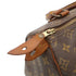 Speedy Handbag Monogram Canvas 25