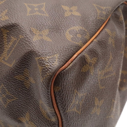 Speedy Handbag Monogram Canvas 25