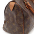 Speedy Handbag Monogram Canvas 25