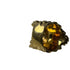Lion Head Crystal Ring Metal Gold