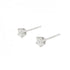 Earrings Platinum