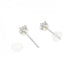 Earrings Platinum