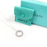 1837 Circle Pendant Necklace Sterling Silver