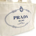 Canapa Convertible Shopping Tote Canvas Small