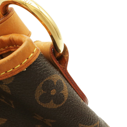 Delightful Handbag Monogram Canvas PM