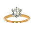 Ring 18K Rose Gold and Platinum