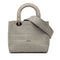 Lady D-Lite Bag Cannage Embroidered Canvas Medium
