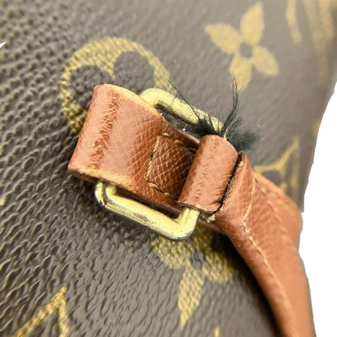 Papillon Handbag Monogram Canvas 26