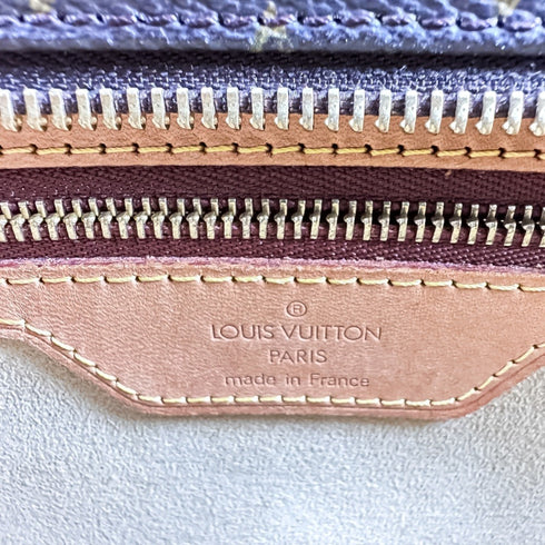 Luco Handbag Monogram Canvas