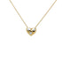 Pendant Necklace Platinum and 18K Yellow Gold with Diamond