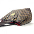 Hampstead Handbag Damier PM