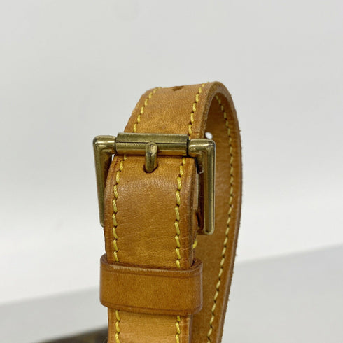 Musette Salsa Handbag Monogram Canvas GM