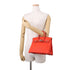 Birkin Handbag Red Togo with Palladium Hardware 25