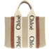 Woody Tote Canvas with Leather Small