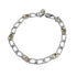 Charm Bracelet 18K Gold and Sterling Silver