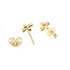 Earrings 18K Yellow Gold
