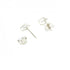 Earrings Sterling Silver