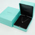 Elsa Peretti Diamonds By The Yard Pendant Necklace Platinum and Diamond