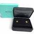 Earrings 18K Yellow Gold