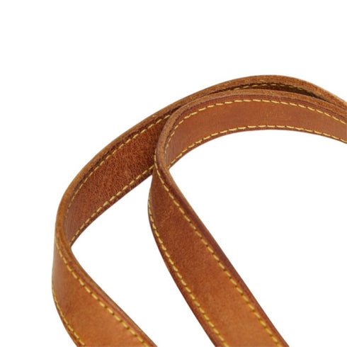 Cabas Mezzo Monogram Canvas