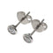 Earrings Platinum
