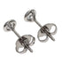 Earrings Platinum