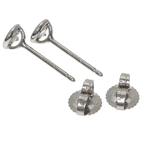 Earrings Platinum