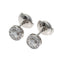 Earrings Platinum