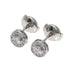 Earrings Platinum