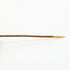 Brooch Gold-Tone Metal