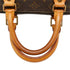 Speedy Handbag Monogram Canvas 25